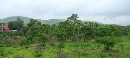 View of Urawade site